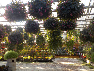 松江フォーゲルパーク