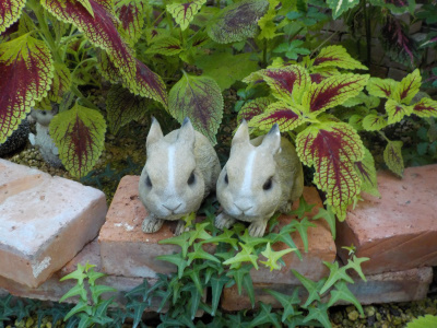 松江フォーゲルパーク