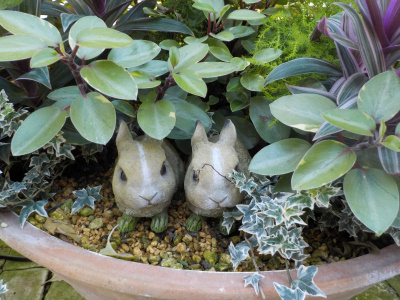 松江フォーゲルパーク