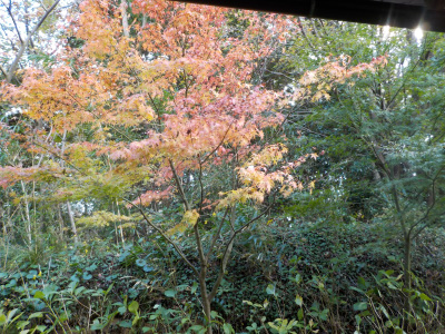 松江フォーゲルパーク