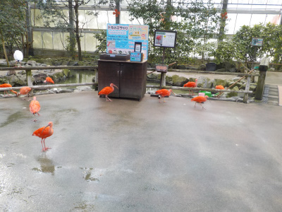 松江フォーゲルパーク