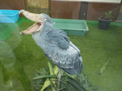 松江フォーゲルパーク