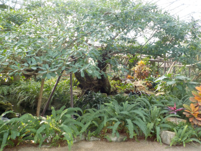 松江フォーゲルパーク