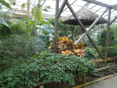 松江フォーゲルパーク