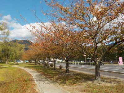 縁結び交流館であったkaka.marche オールマーケット
