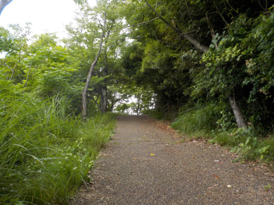 出雲市の奉納山公園へ向かう坂道