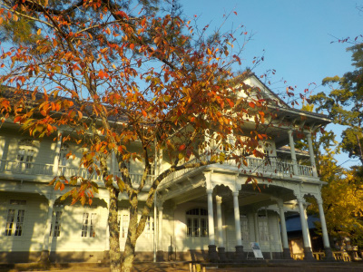 秋の国宝松江城。Autumn National Treasure Matsue Castle