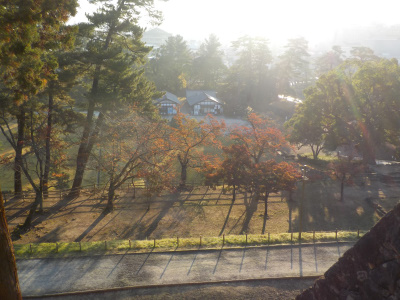 秋の国宝松江城。Autumn National Treasure Matsue Castle