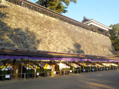 秋の国宝松江城。Autumn National Treasure Matsue Castle