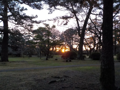 出雲大社の日の出