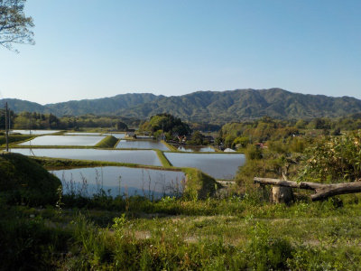 奥出雲町の福頼棚田で「奥出雲マジックアワー」イベントがありました。