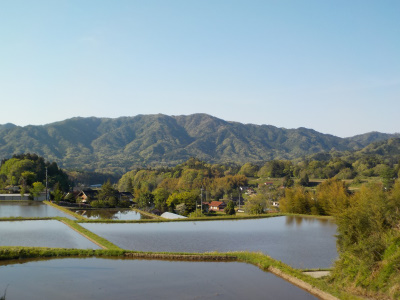 奥出雲町の福頼棚田で「奥出雲マジックアワー」イベントがありました。