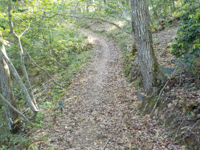 奥出雲町の福頼棚田で「奥出雲マジックアワー」イベントがありました。山道