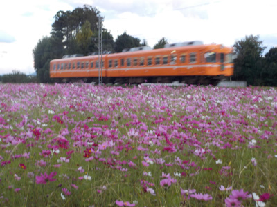 電車の神様粟津稲荷神社
