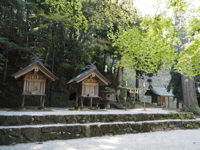 桜の頃の神魂神社は雰囲気が良かったです。