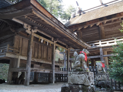 桜の頃の神魂神社は雰囲気が良かったです。