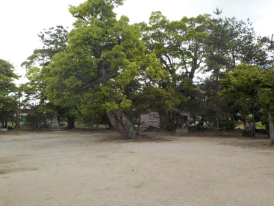 5月の鹿島神社開けた境内