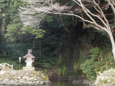 出雲大社北島國造館の池の水が抜かれていました。the water in the pond was drained