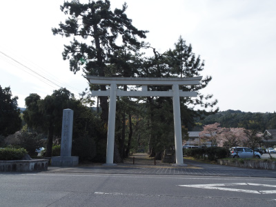 熊野大社の色々鳥居