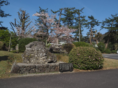 熊野大社の色々サザレ石