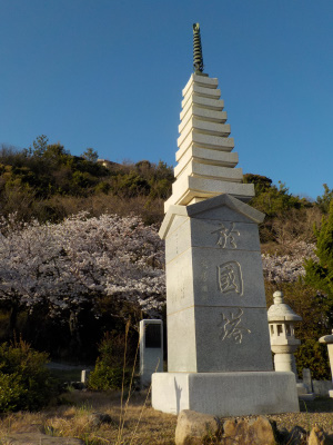 出雲阿国塔の桜が満開でした。