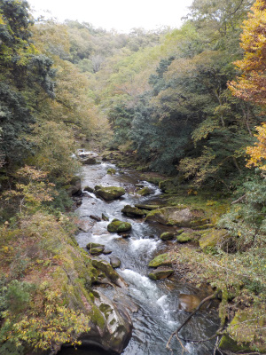紅葉ベストシーズン前の鬼の舌震