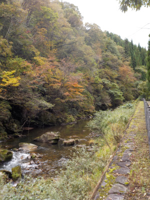 紅葉ベストシーズン前の鬼の舌震