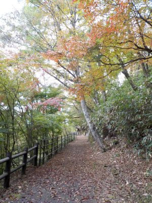紅葉ベストシーズン前の鬼の舌震