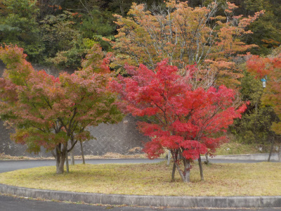 紅葉ベストシーズン前の鬼の舌震