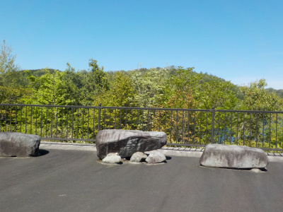 おろちの里付近の木が成長してました。