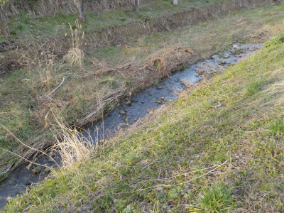 鳶巣土手を散歩。出雲市の散歩道。Izumo City Walking Course