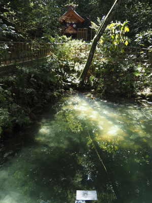 八重垣神社鏡の池