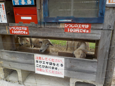 飯の原農村公園吉栗の郷