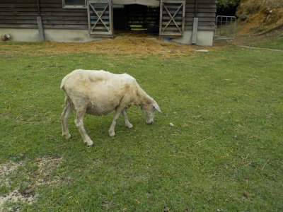 飯の原農村公園吉栗の郷