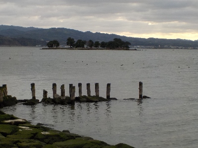 japan島根県松江市袖師町1-5島根県立美術館2月の景色