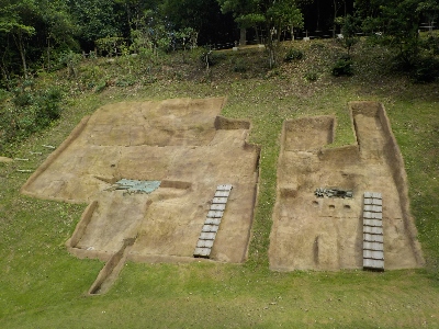 japan 島根県出雲市斐川町神庭873番地8 荒神谷史跡公園の蓮 7月