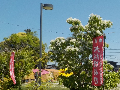 japan 島根県出雲市斐川町併川258 万九千神社の春祭り