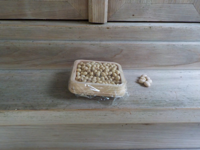 節分祭を見に物部神社に行きました。