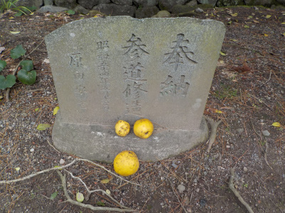 節分祭を見に物部神社に行きました。