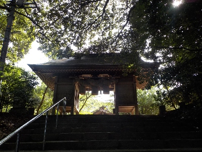 japan 島根県出雲市西園町上長浜4258 七夕前の長浜神社に行きました。 7月