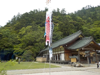japan 島根県出雲市大社町杵築東195 北島國造館で鯉のぼりがあがっていました。