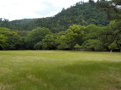 japan 島根県出雲市大社町杵築東195 紫陽花を見に出雲大社に行きました。 6月