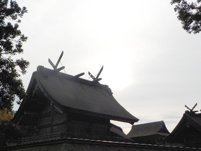 japan 島根県出雲市大社町杵築東195 神在祭中の出雲大社に行きました。 11月