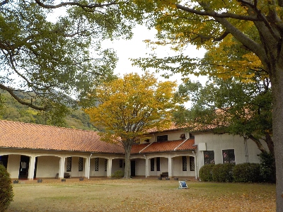japan 島根県出雲市大社町菱根264-2 島根ワイナリーも秋っぽくなりました。 11月