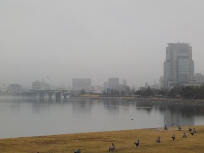 japan 島根県松江市袖師町1-5 島根県立美術館からの景色。