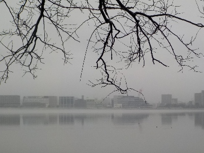 japan 島根県松江市袖師町1-5 松江市役所は霧の中