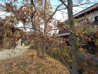japan 島根県出雲市斐川町出西3368 出西窯がある田舎の風景