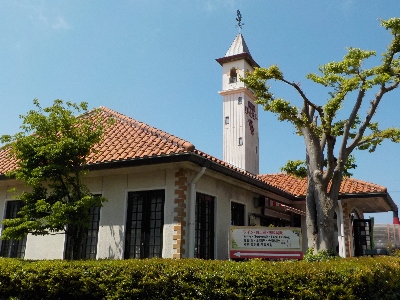 japan 島根県出雲市大社町菱根264-2 島根ワイナリーで山野草をじっくり見ました。 5月