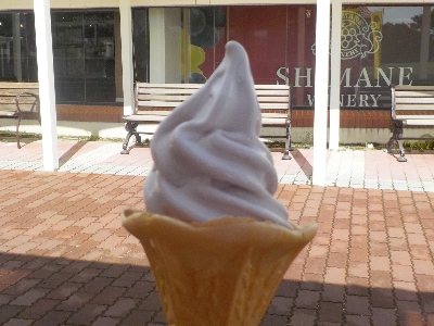 japan 島根県出雲市大社町菱根264-2 島根ワイナリーでワインソフトを食べました。 8月