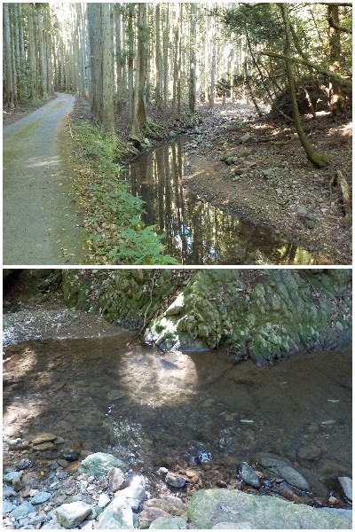 japan 島根県出雲市唐川町408番地 韓竈神社の岩の間を通るのはインパクトありますね。